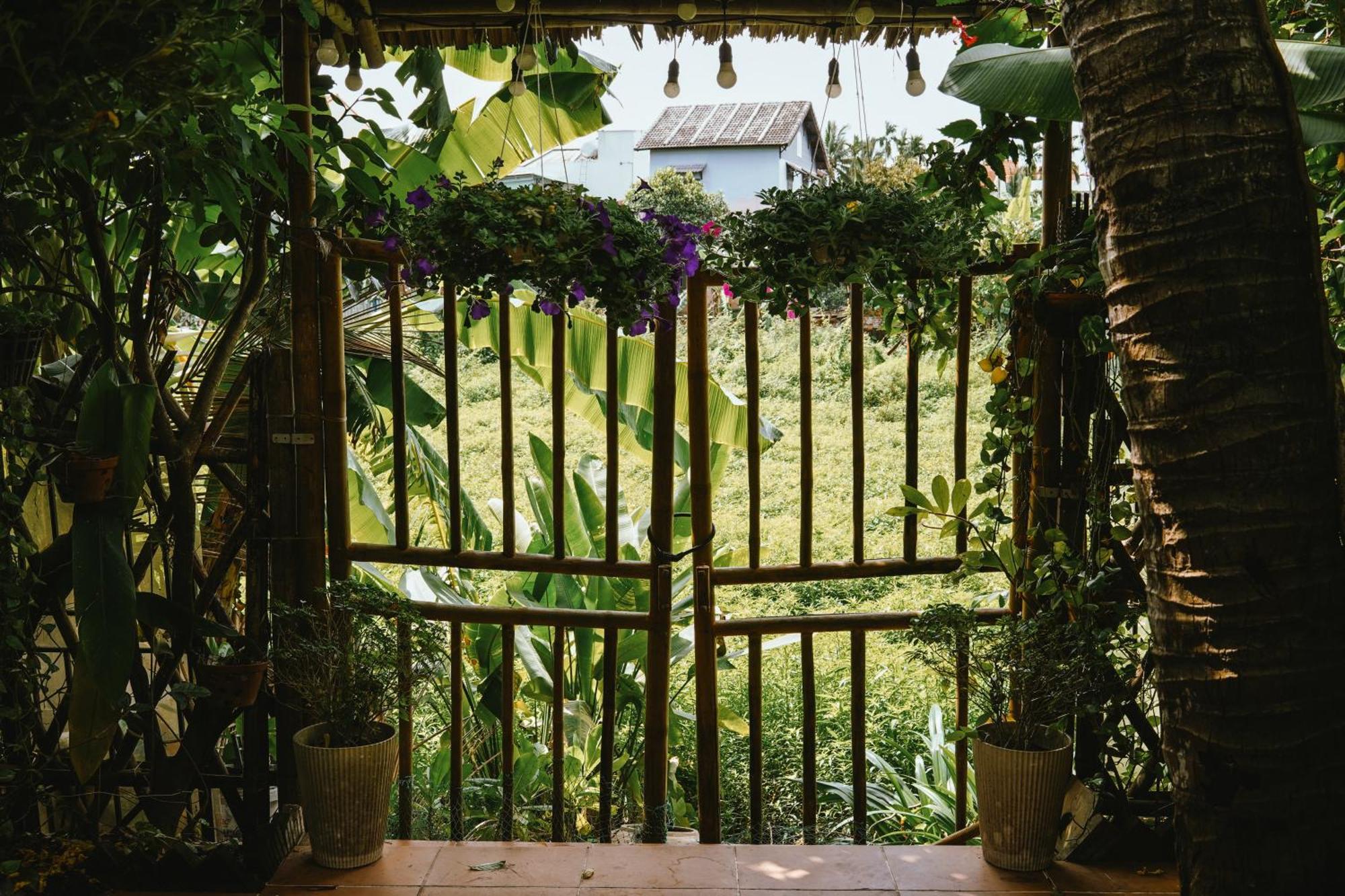 Вілла Hoi An Ti Hon House Екстер'єр фото